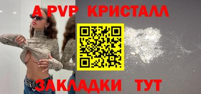не бодяженный Кингисепп
