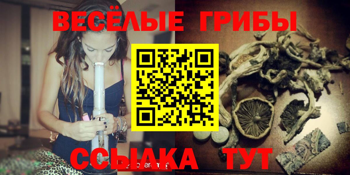 Галлюциногенные грибы прущие грибы  Вход с VPN  Балтийск 